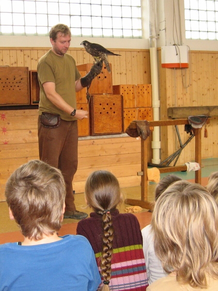 Snímek 207